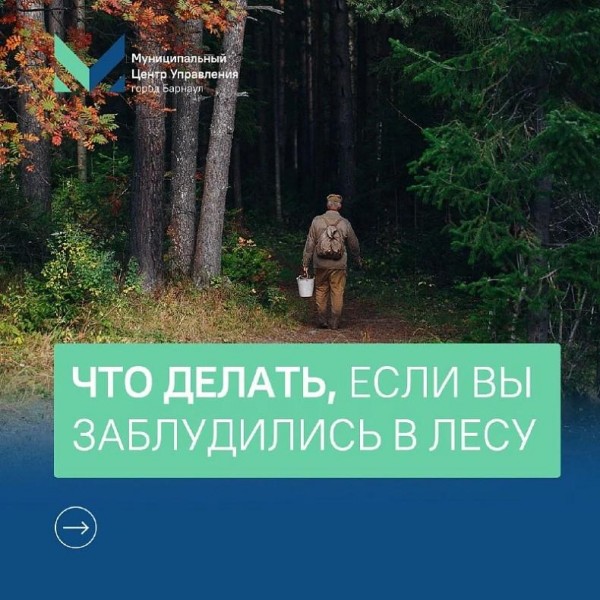 Барнаульцам напоминают, как вести себя, если заблудились в лесу